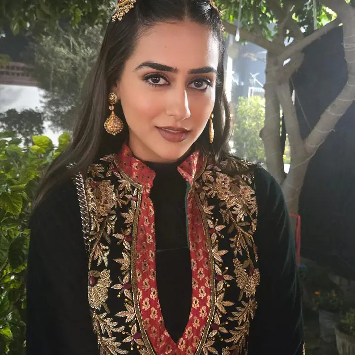 Noor-e-Chand Hair Clip - Master