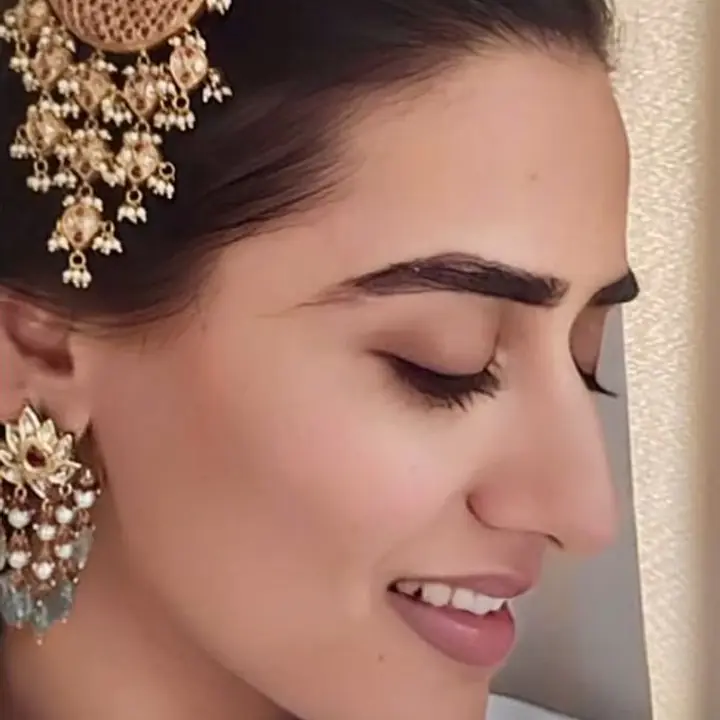 Sitara Crescent Hair Clips - Master
